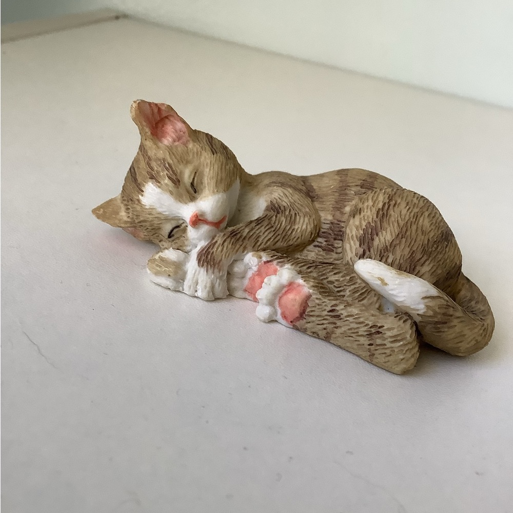 Sleeping tabby cat